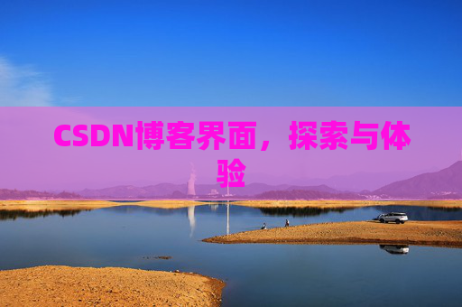 CSDN博客界面，探索与体验